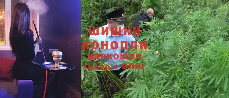 Шишки марихуана SATIVA & INDICA  дарнет шоп  Бронницы 